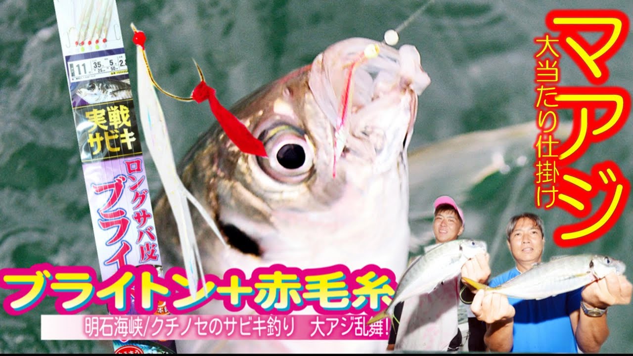 【釣れるサビキ仕掛け】ダイワのブライトンで大アジに挑む‼︎  明石海峡2022夏　ホンマに釣れる仕掛けは誰も教えてくれない&hellip;