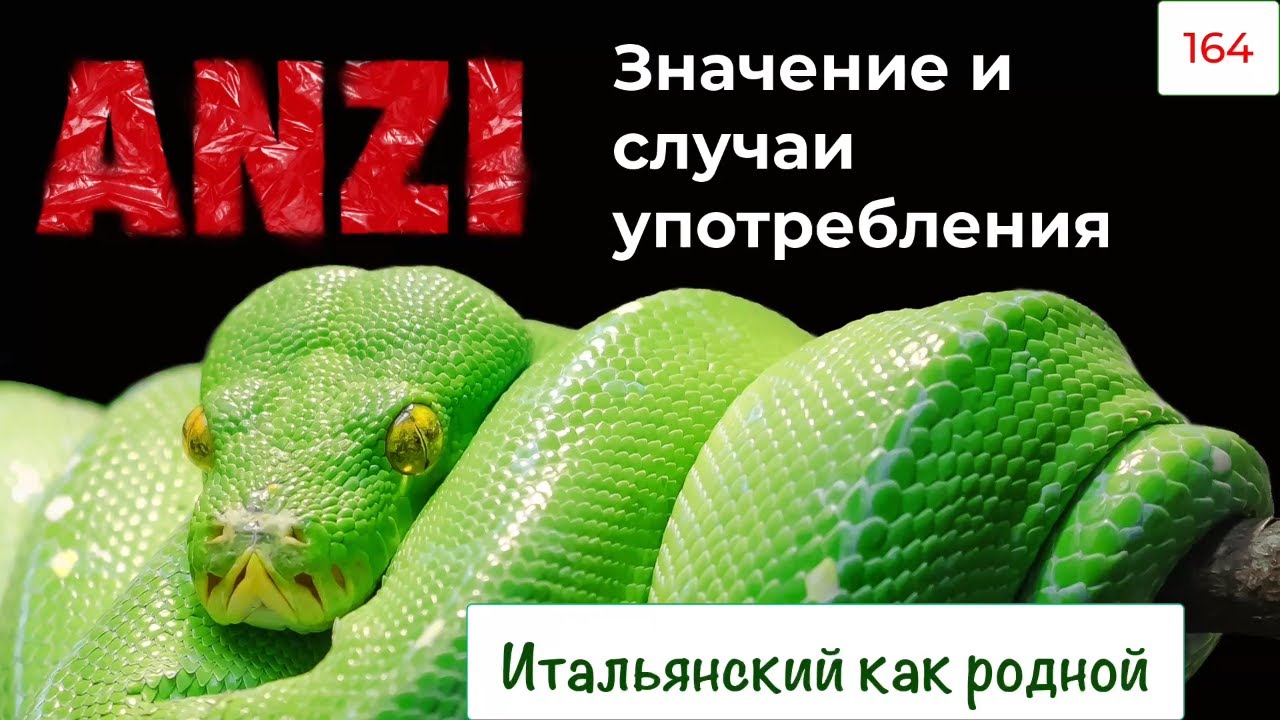 Значение и фразы с со словом ANZI на итальянском языке – 164