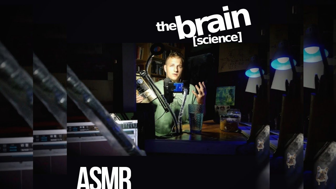 Человеческий мозг (часть 3) | ASMR-мягкий разговор [наука, факты]