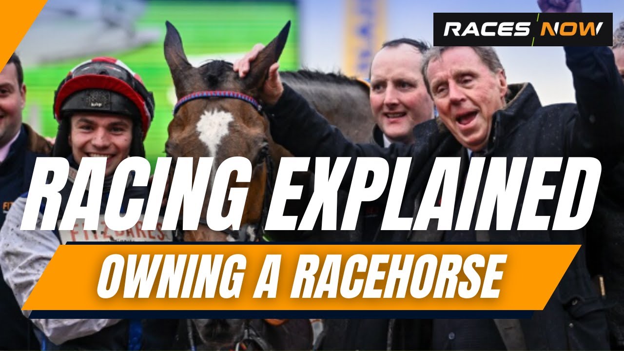 Owning A Racehorse | Horse Racing Explained