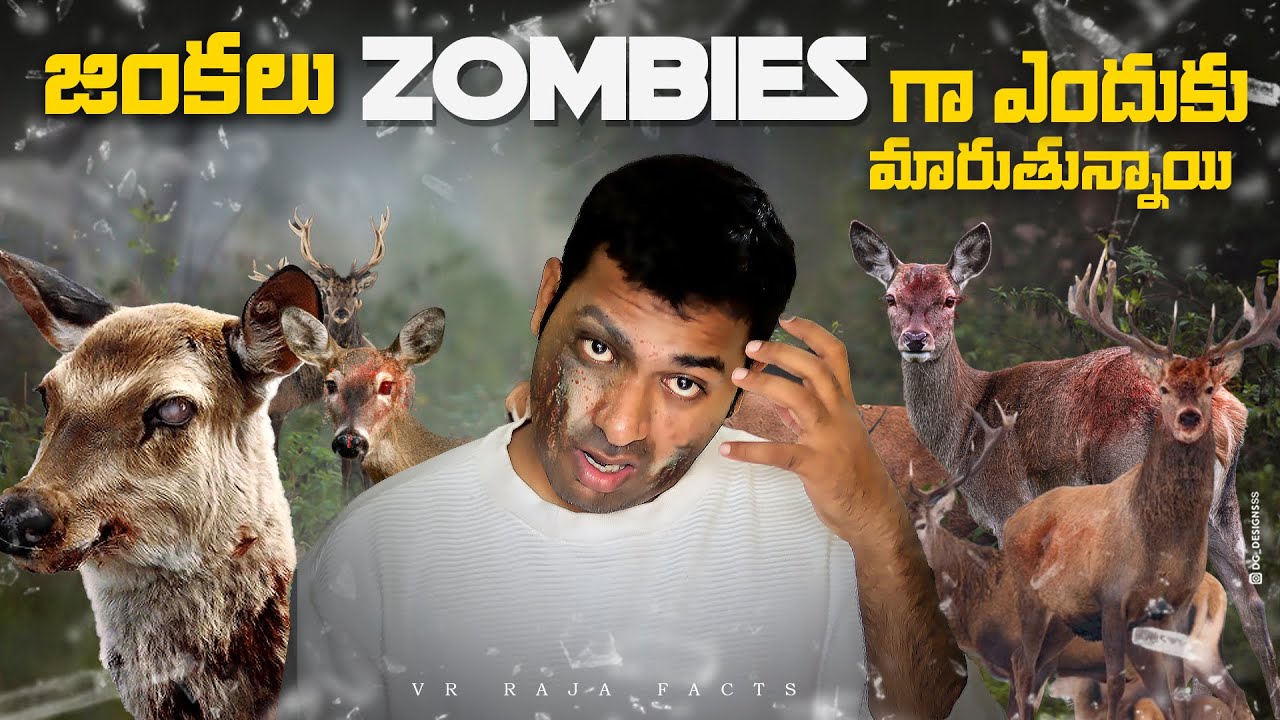 Why Deers Turning In To Zombies | Top 10 Interesting Facts In Telugu  | V R Facts In Telugu |