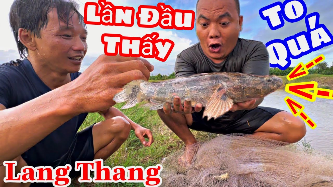 Một Ngày Lang Thang Ngoài Đồng Săn Cá BỐNG TƯỢNG Khổng Lồ Cùng Bữa Cơm Dân Dã | Thánh Xàm Vlog