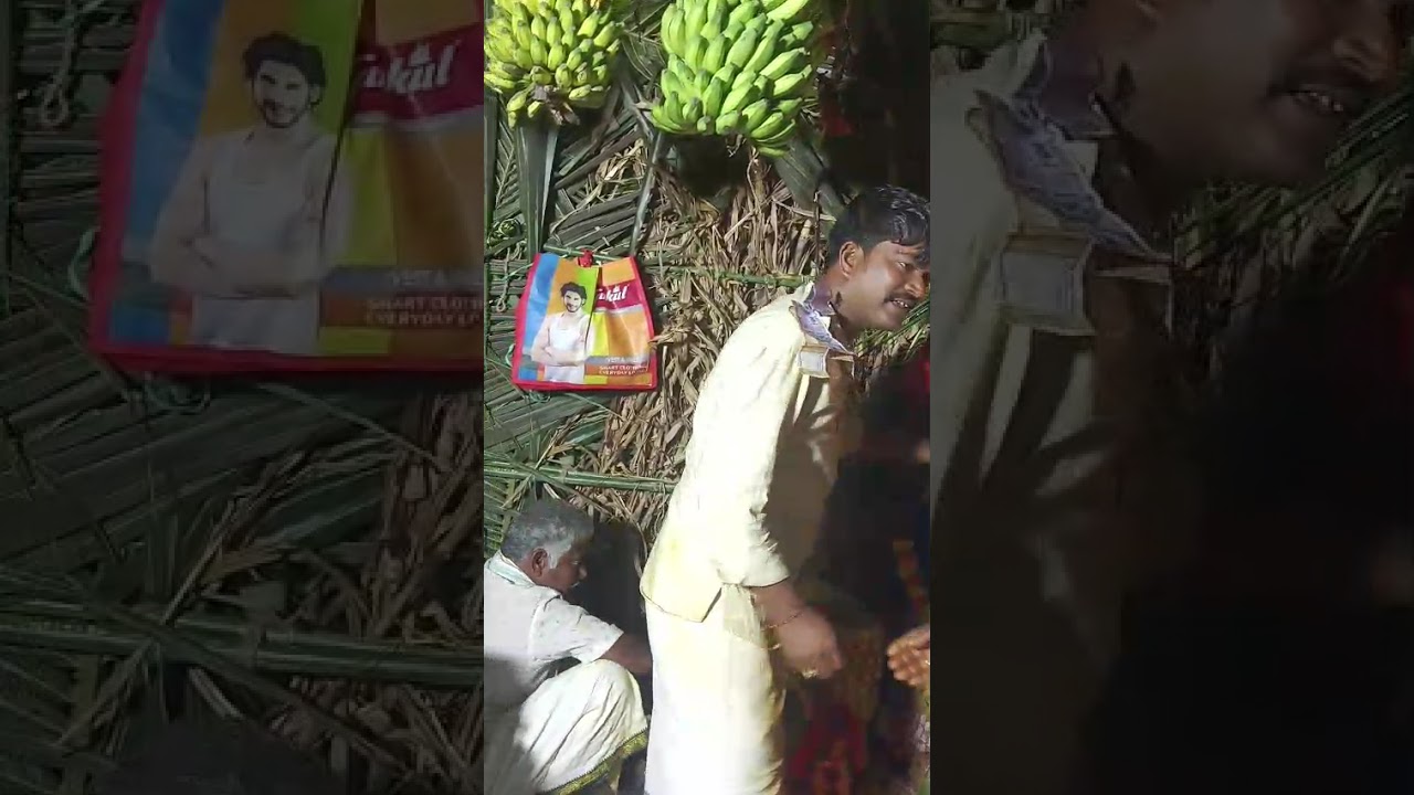 09/02/2026 చిట్టయ్య వలస గ్రామం, దాసరి నాయుడు గొల్ల చదువు. గంగుపేట 9391124761