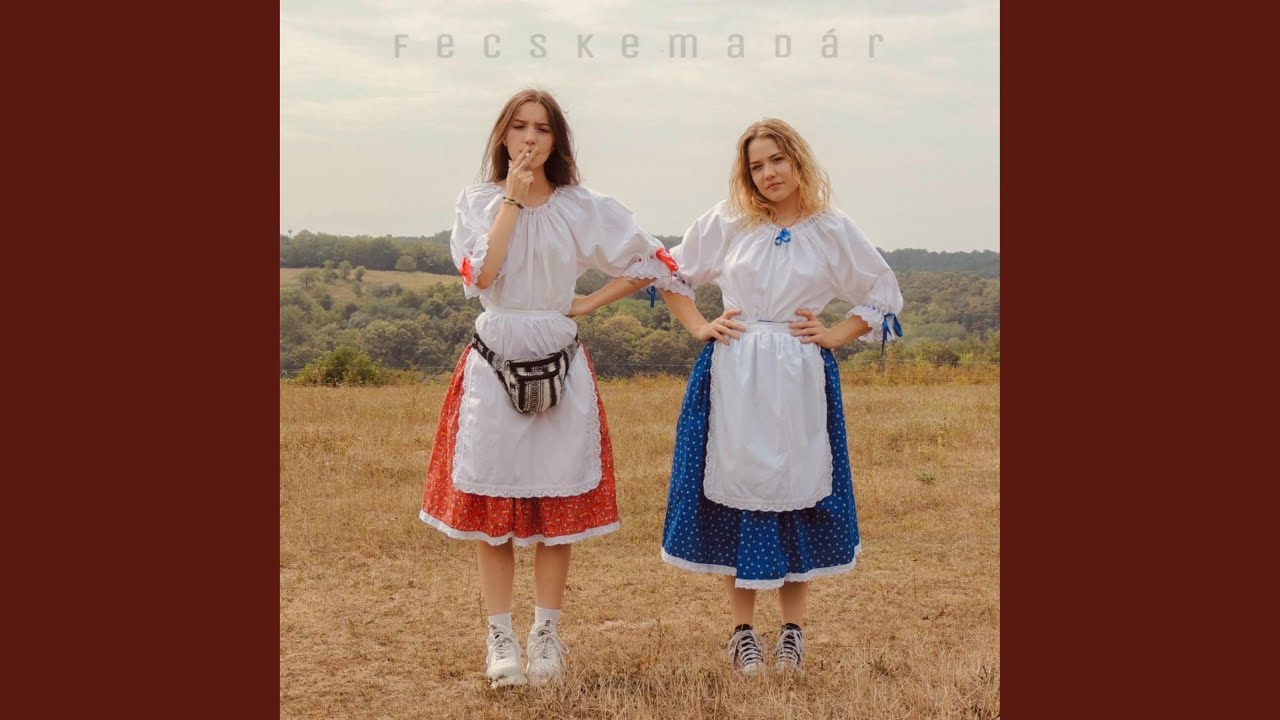 fecskemadár (feat. Æisa)