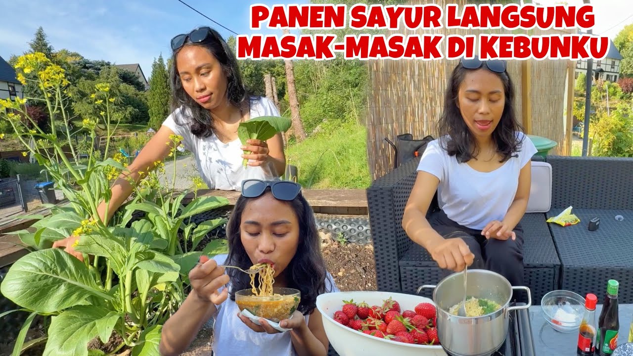 PANEN SAWI & DAUN BAWANG LANGSUNG MASAK INDOMIE DI KEBUN