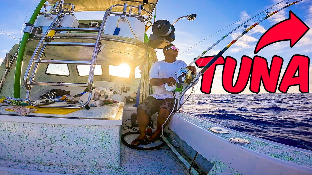 LIVE BAIT FISHING A Giant Schools of YELLOWFIN TUNA!