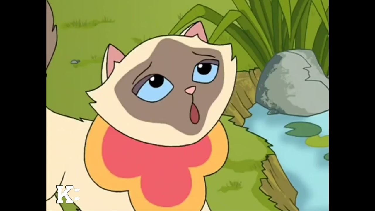 Sagwa The Chinese Siamese Cat - Wedding Day Mess Knowledge Kids Broadcast (2013).