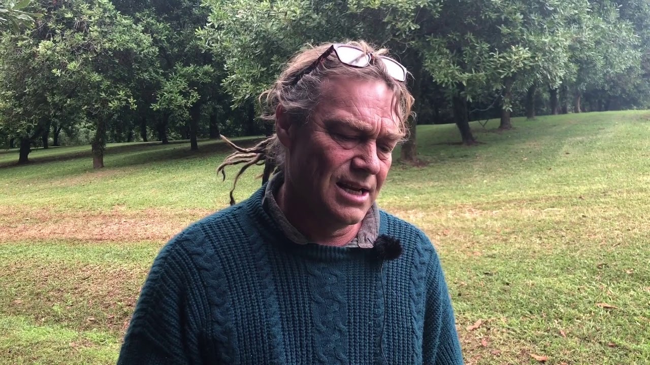 Peter Fraser   Rosebank Up to 4K
