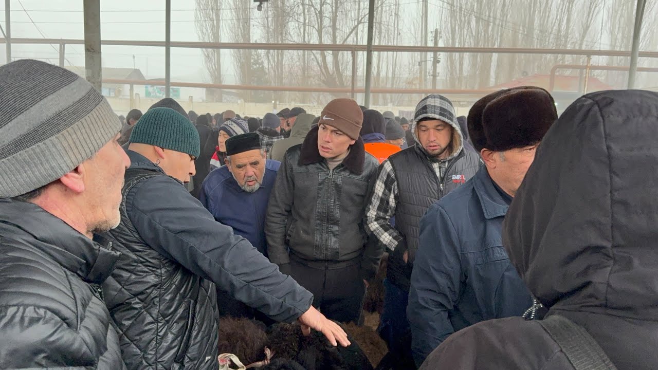 QUQON QUY BOZORI QUYLAR UTA SEROP AKALAR 01 07 2026 CHORSHANBA