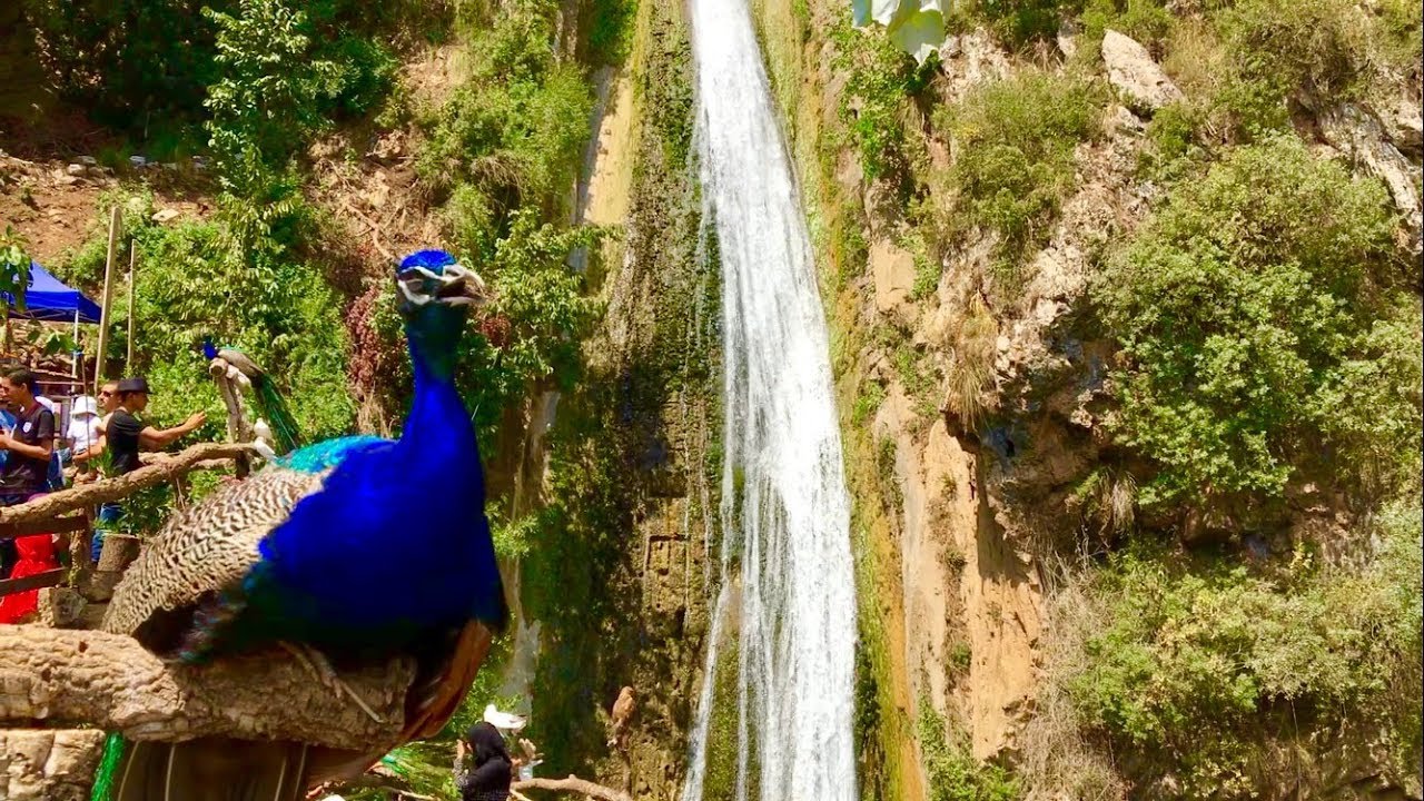 BEJAIA [#1] Kefrida Bejaia Waterfall. شلال بجاية 