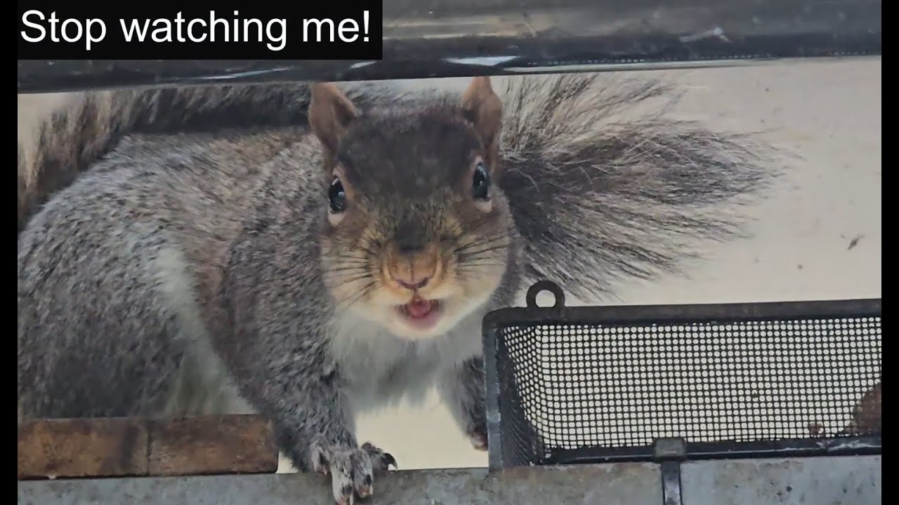 Stop watching me