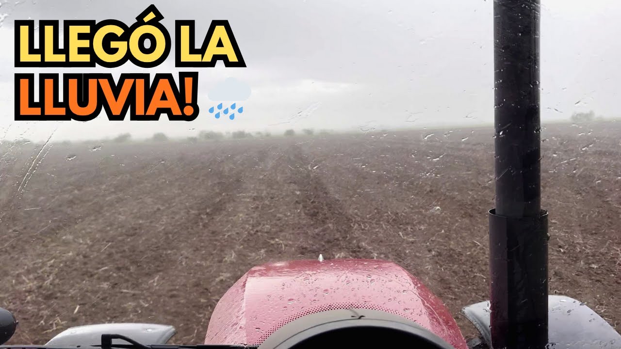 🌪️ ¡Nos Agarró la Lluvia! La Tormenta Raymond Llega al Sur de Sonora