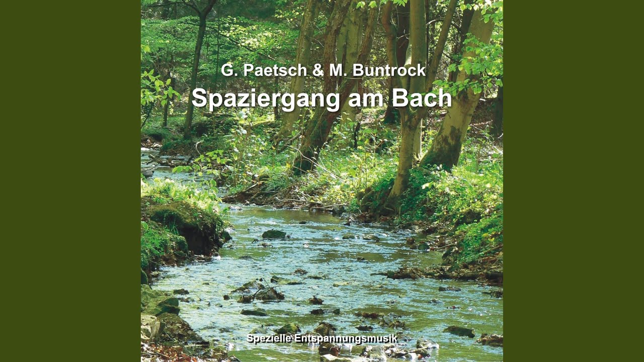 Spaziergang am Bach, Pt. I