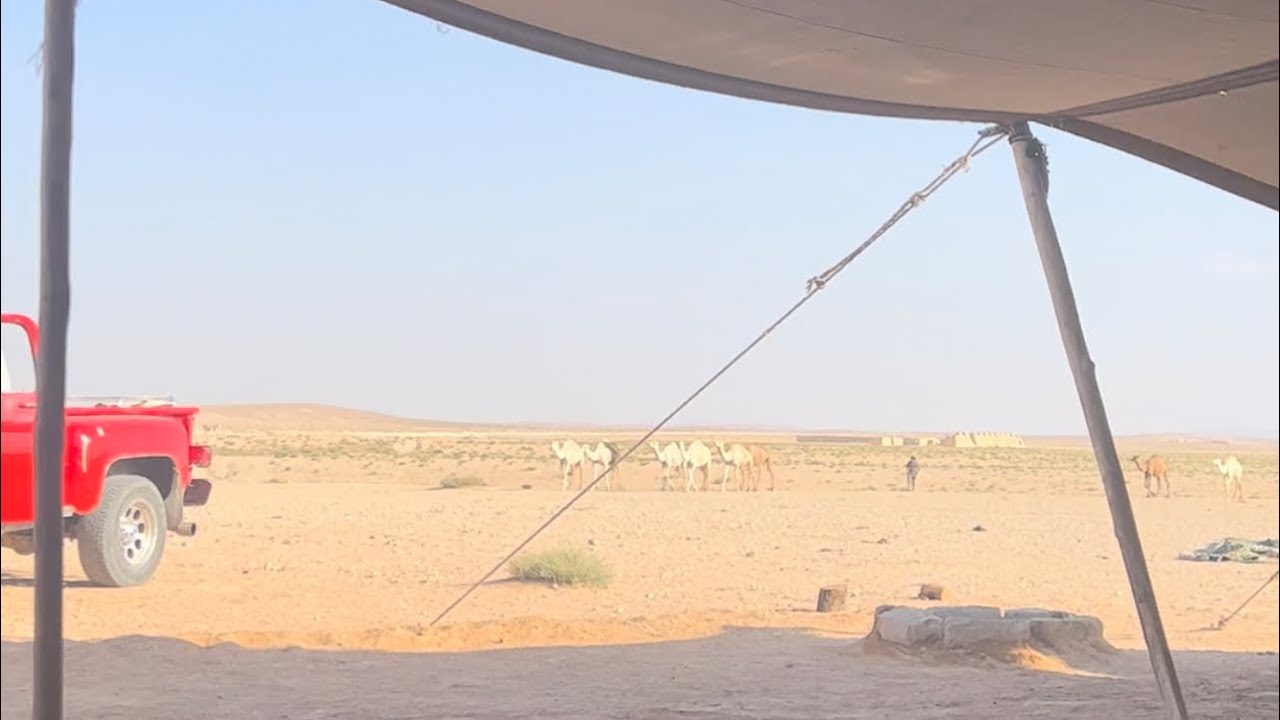 الشيخ نواف عبدالعزيز الملحم #سوح_البيضا
