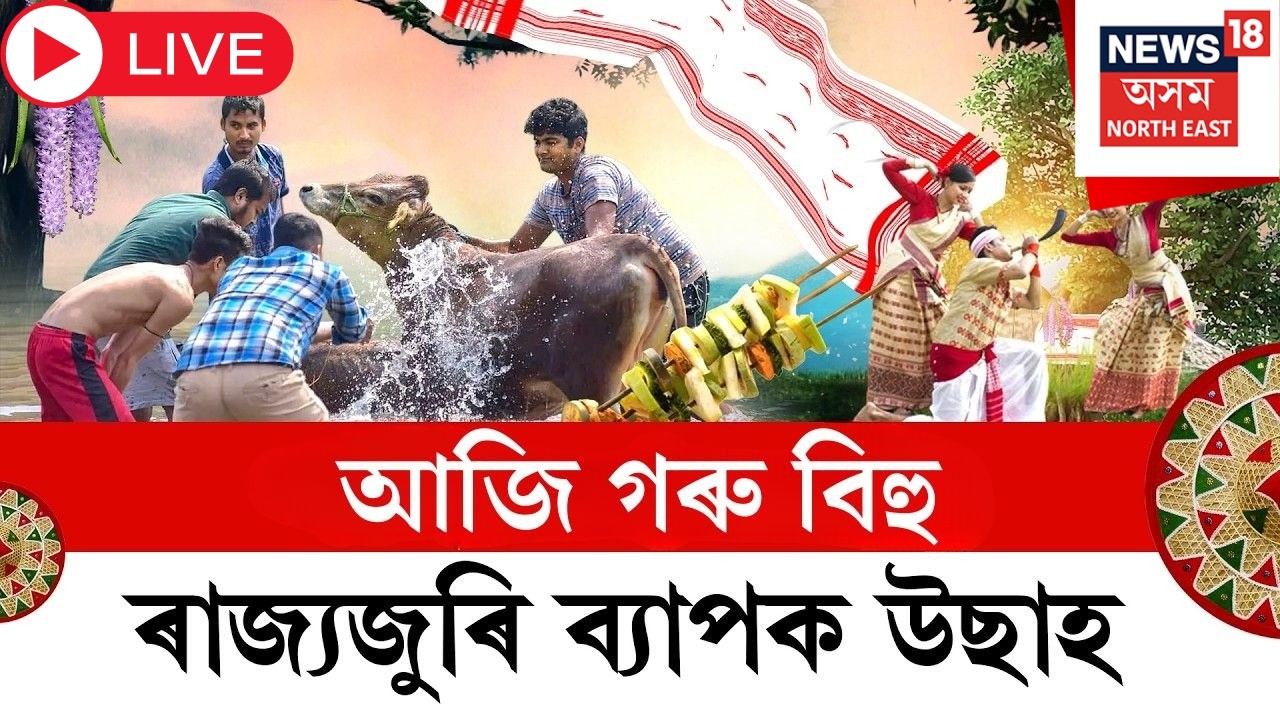 Bohag Bihu 2026 LIVE | আজি গৰু বিহু। ৰাজ্যজুৰি গৰু বিহুৰ আনন্দ-উছাহ। বাপতি সাহোন বিহুটিক আদৰাৰ দৃশ্য
