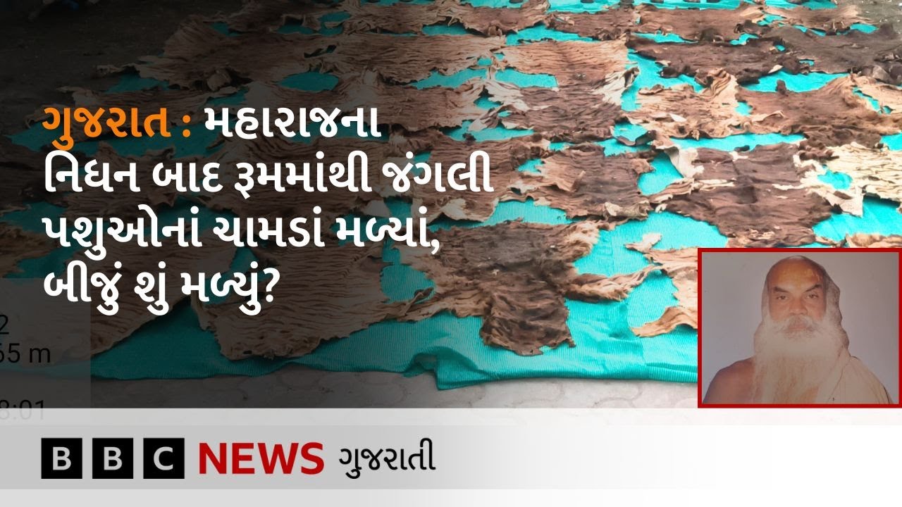 Gujarat : જે મંદિરની જગ્યામાંથી પશુઓનાં ચામડાં મળ્યાં તેના ટ્રસ્ટીઓ શું બોલ્યા?