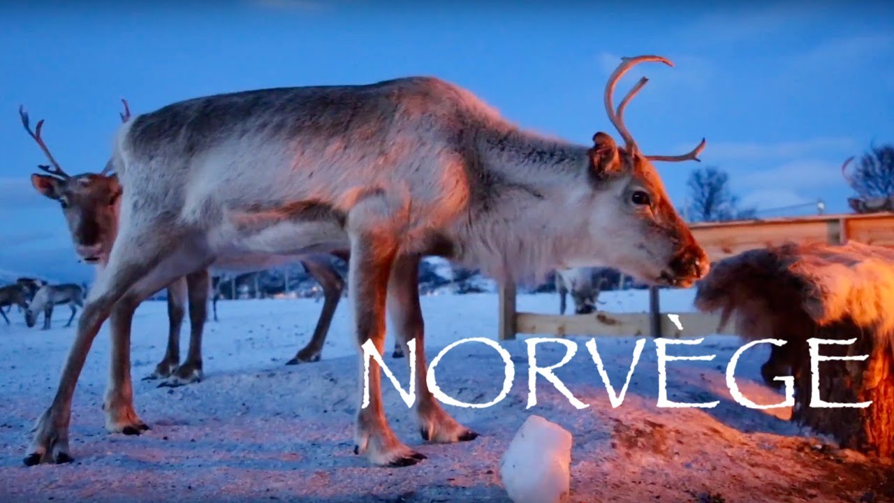 La Norvège en hiver : le meilleur de Tromsø !