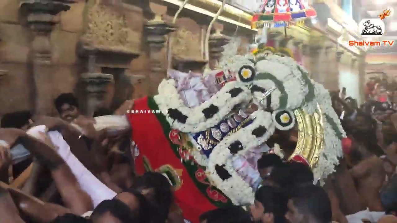 திருநள்ளாறு ஸ்ரீ தியாகராஜர் உன்மத்த நடனம்| Thirunallar Thyagarajar function.