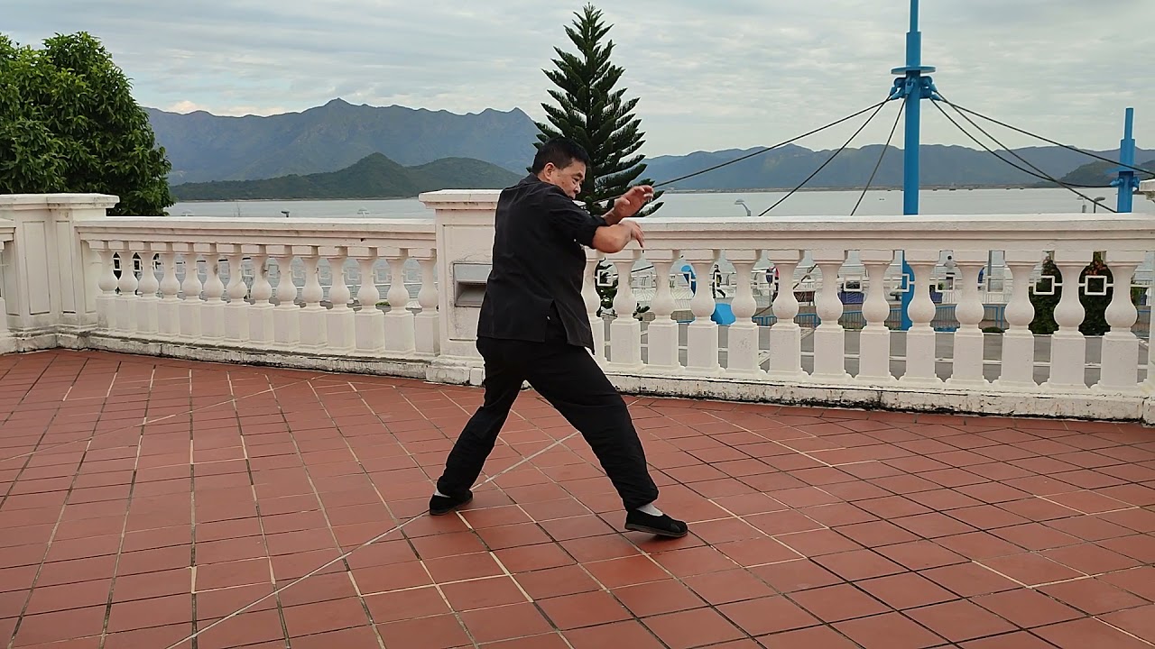 北勝蔡李佛 陳順明(十字拳) 2021-11-11