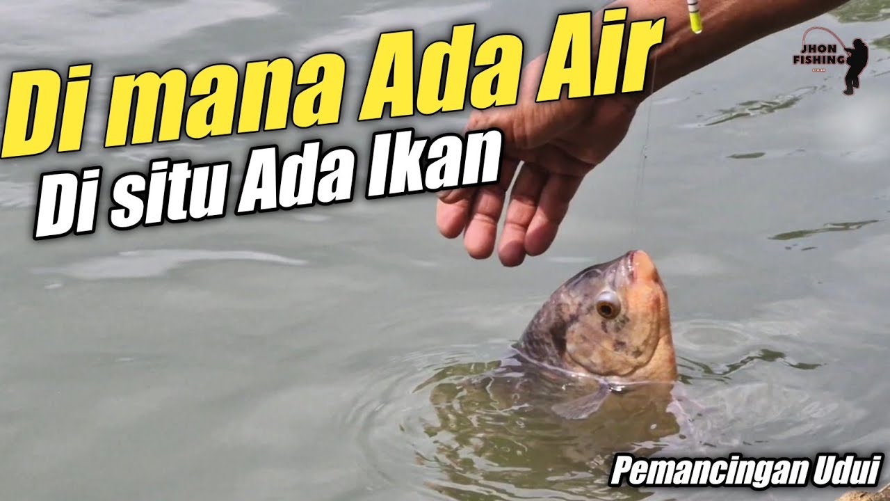 Di Mana Ada Air, Di Situ Ada Ikan | Pemancingan Undui