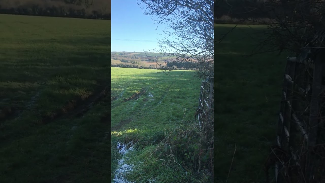 Creative Nature Play Opportunities for Babies and Toddlers