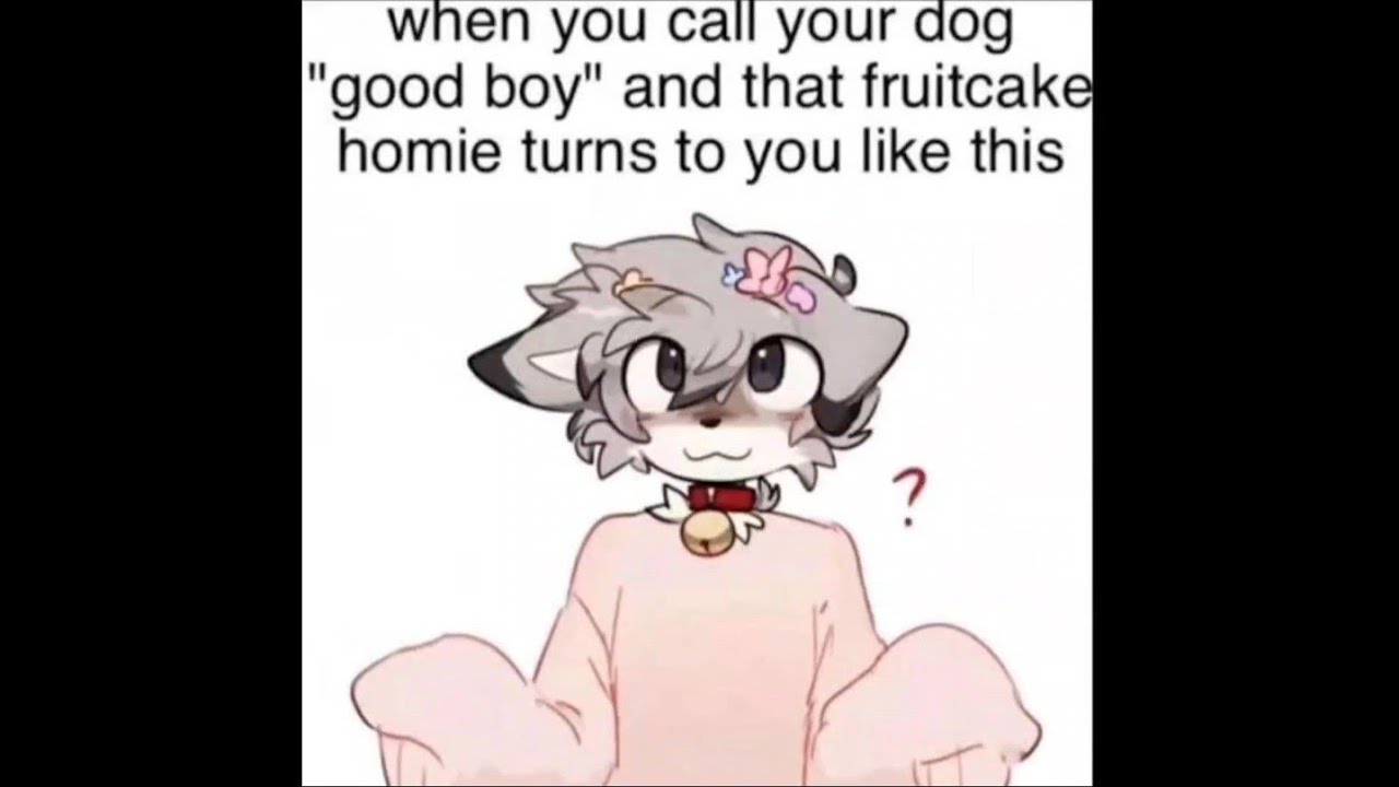 Discord Memes Compilation V73