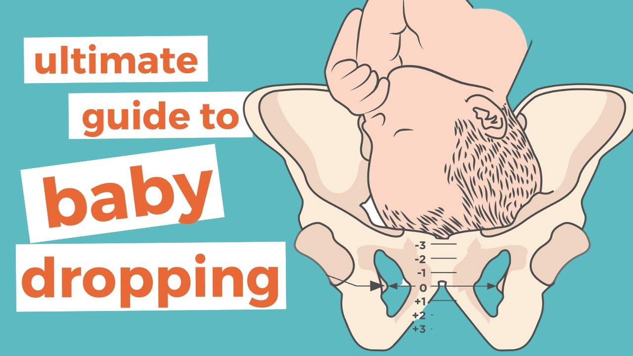 Top BABY DROPPING Questions Answered in 5 Minutes