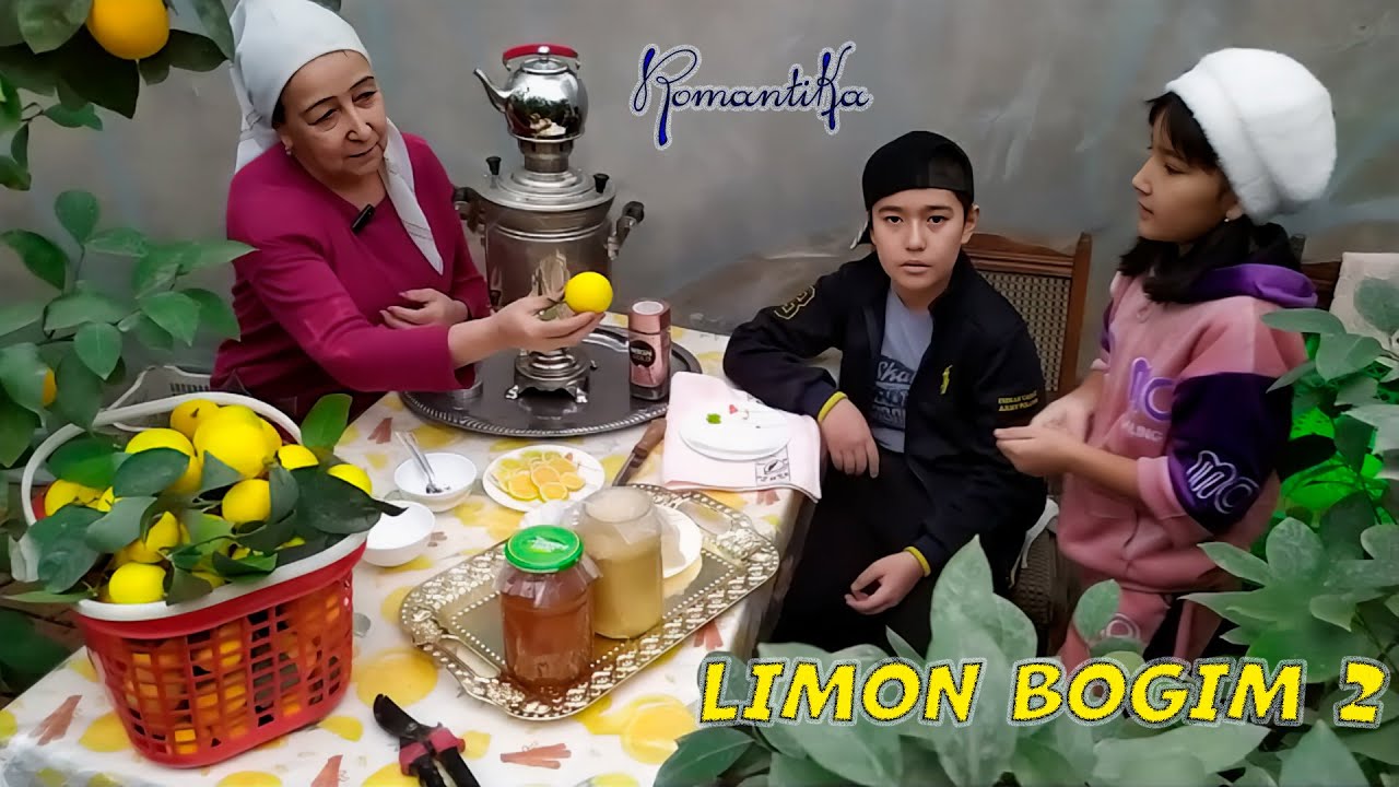 LIMON BOGIM 2 (Romantika)