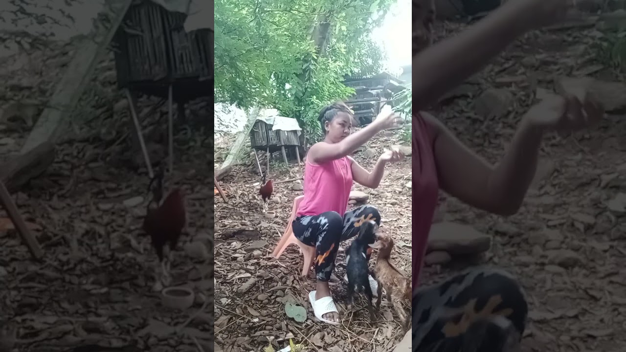 Agpadede Tay ti kalding 