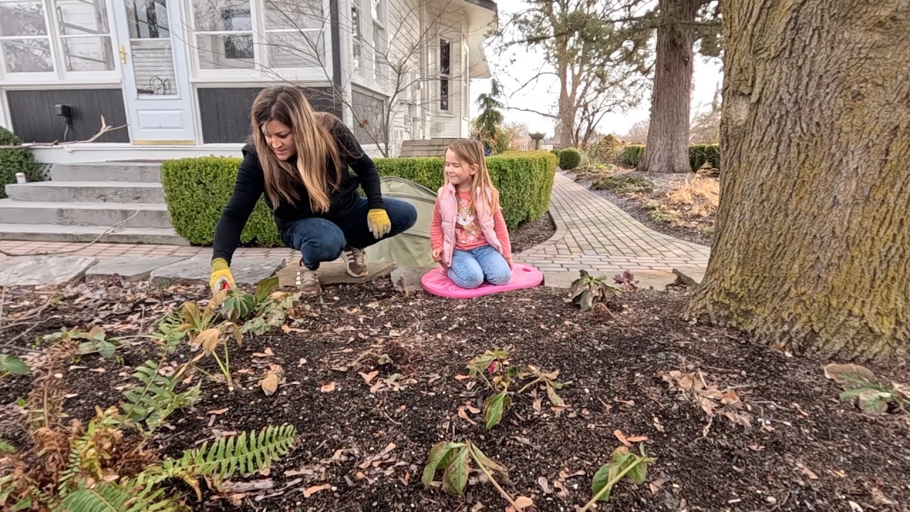 Repotting & Displaying 9 Houseplants + Cutting Back Incrediball Hydrangeas! 🪴🥰✂️