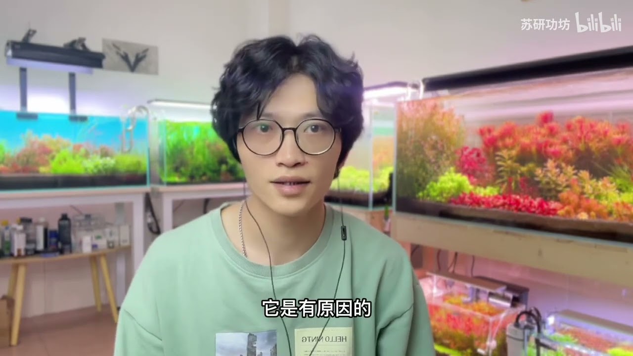 【草缸知识】了解草缸过滤系统 入门篇（上）