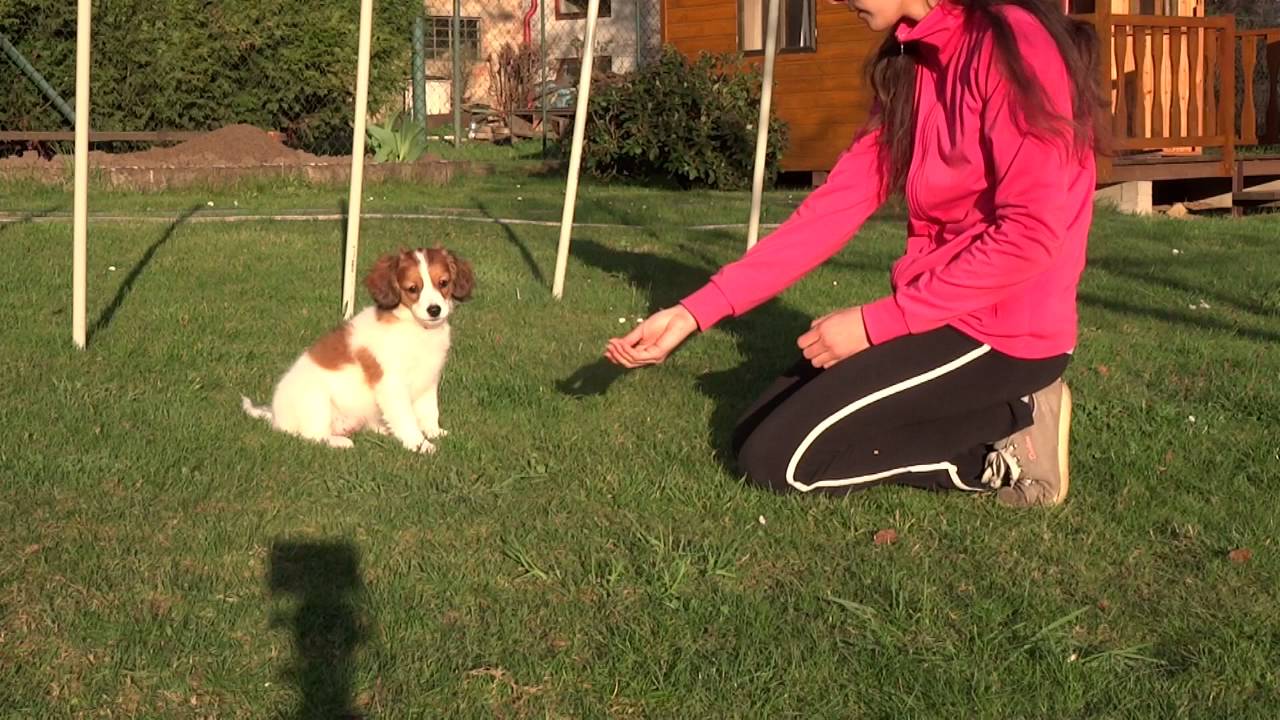 Kessy - Training diary - 10 weeks