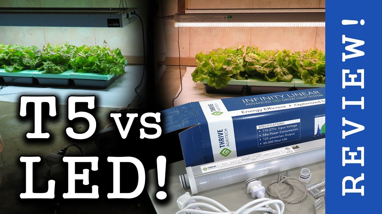 High End LEDs vs T5 Fluorescent! Thrive Agritech: Infinity Linear (Review & Lettuce Test)