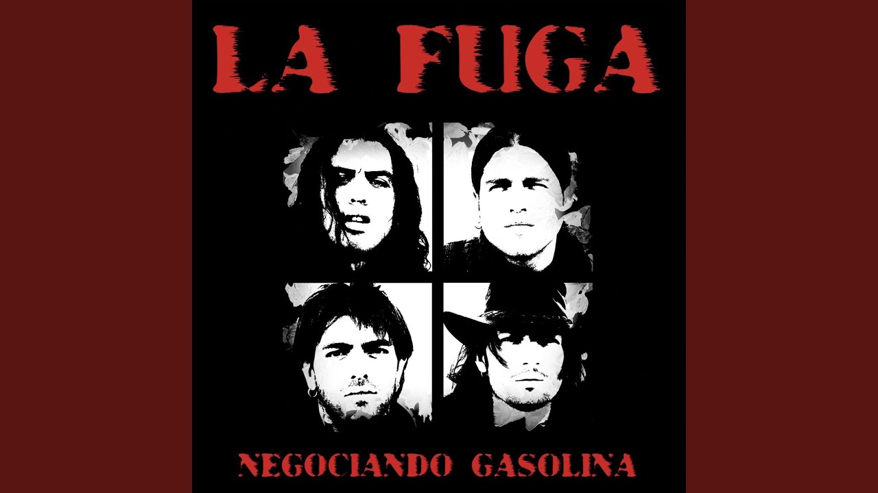 Buscando en la basura