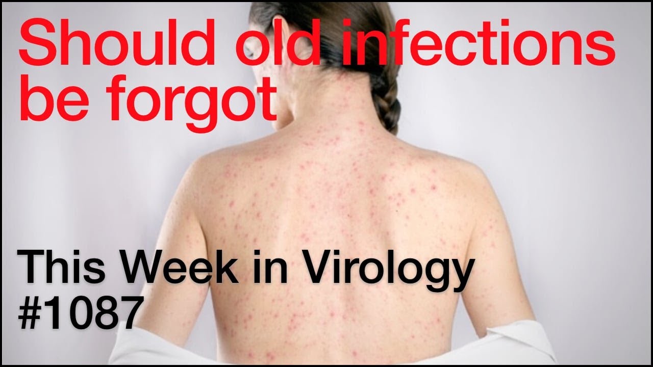 TWiV 1087: Should old infections be forgot