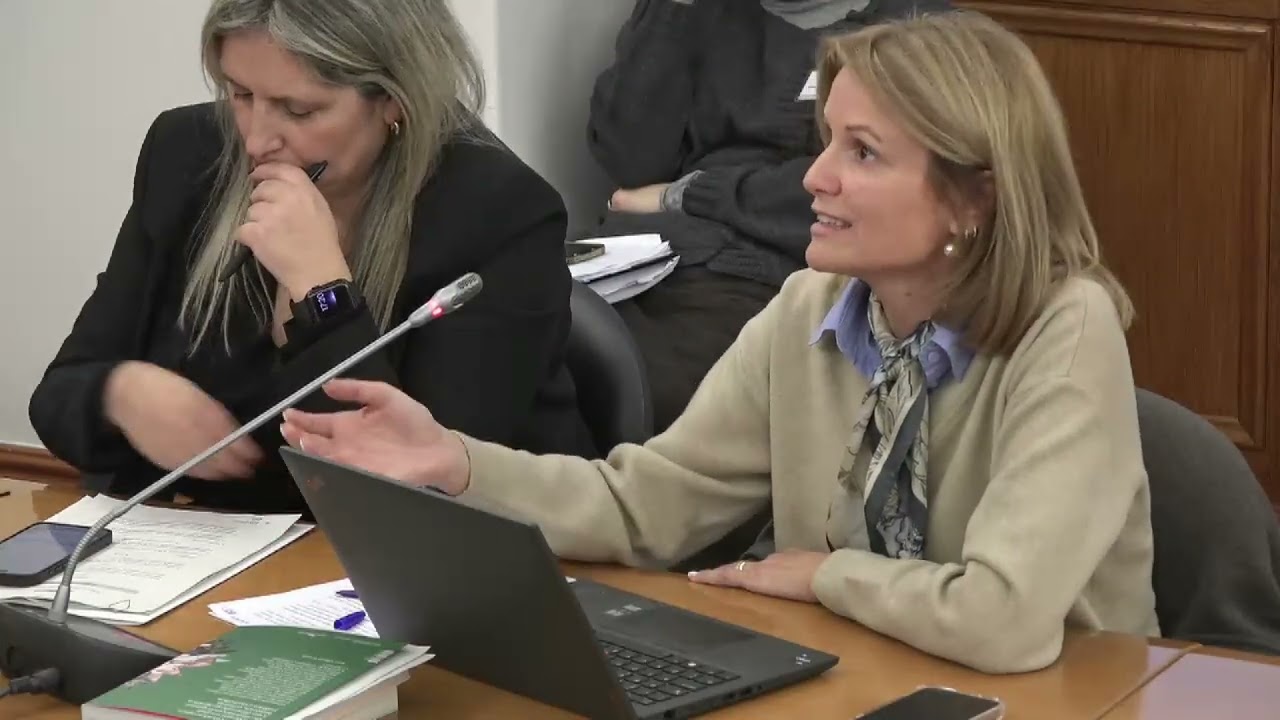 20-01-2026 | Audição da Associação Portuguesa de Imprensa | Margarida Afonso