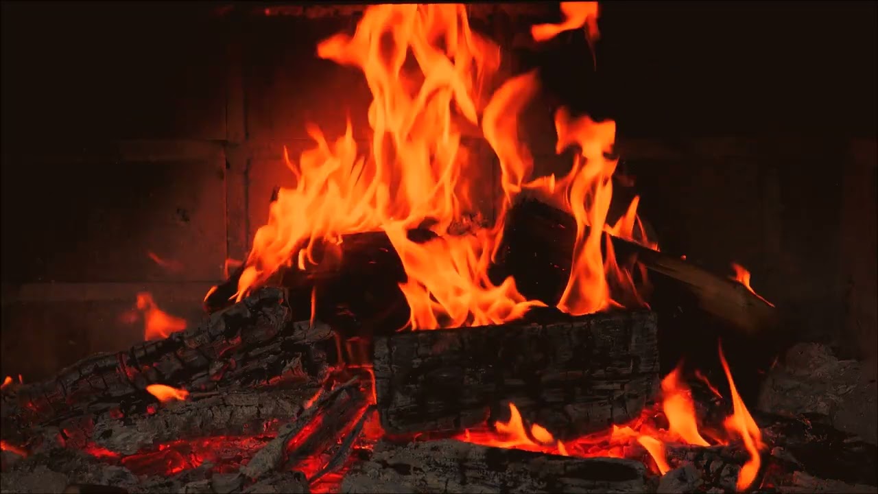 Best sounds of swallows with fireplace 4K video 3 hours