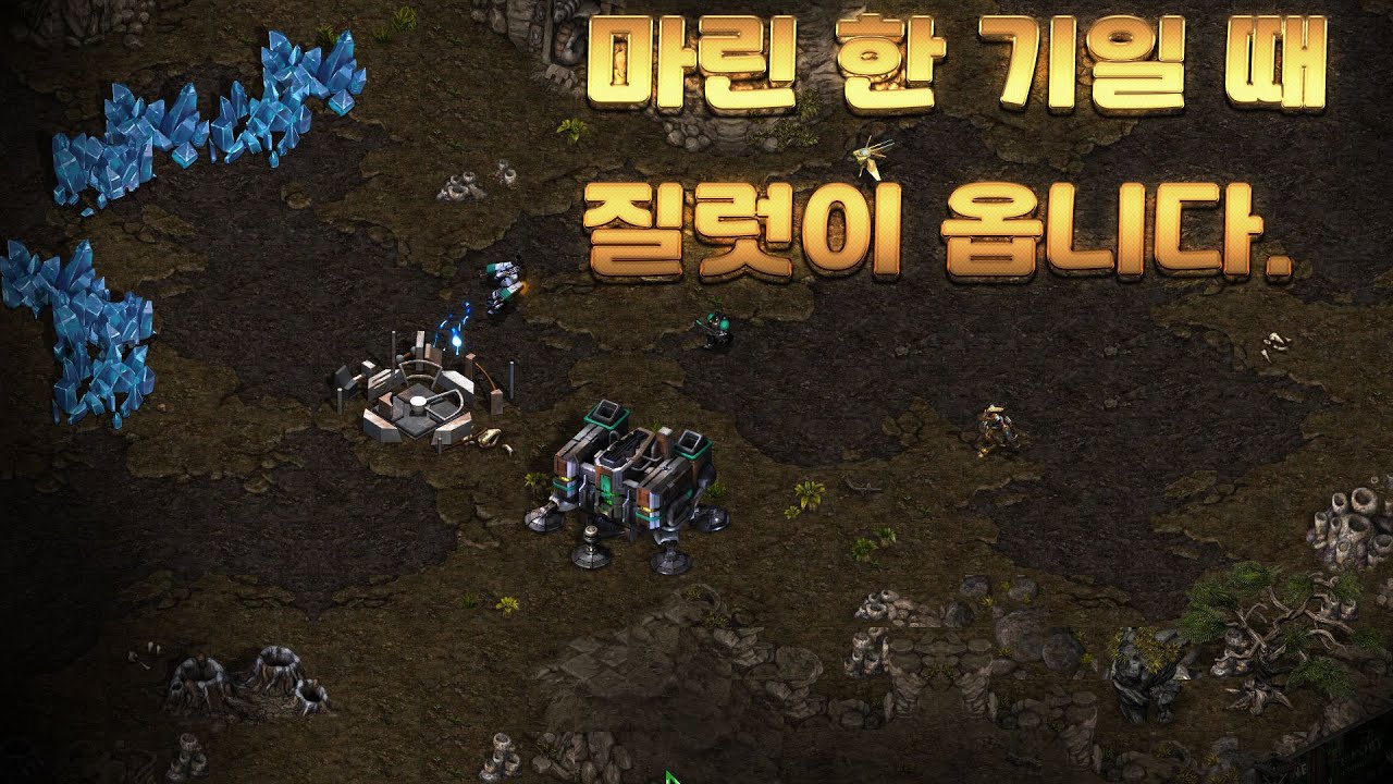 토스전 배럭더블 vs 전진 게이트 막서치일 때 / 5탱 러쉬 후 업테란까지