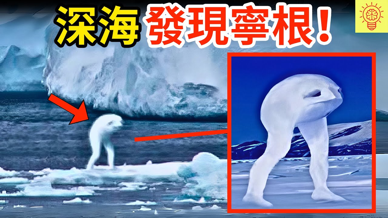 科學家在深海拍到【寧根】！現場畫面曝光，把專家都嚇傻了！