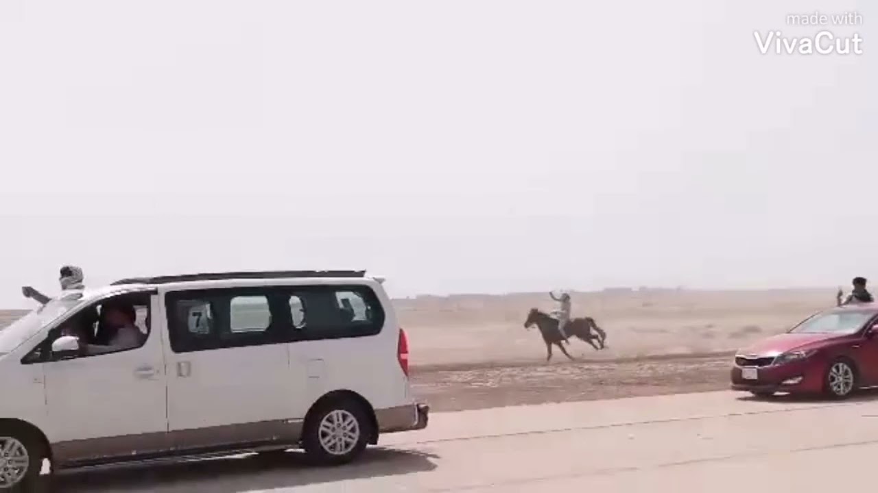 السباق الذي أقيم في محافظة واسط قضاء النعمانيه مهرجان الجواد الرابع العام ٢٠٢١ مع لا تنسونا بلدعم