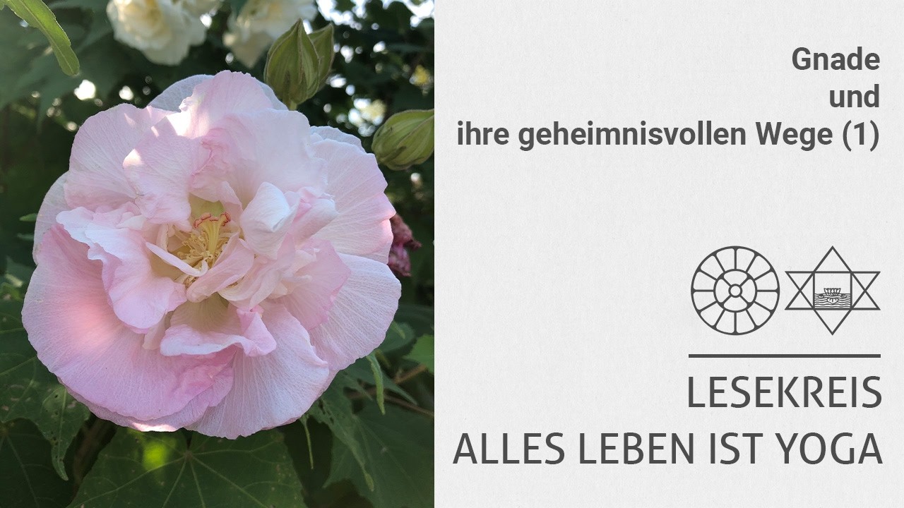Gnade und ihre geheimnisvollen Wege – 1 (Sri Aurobindo | Die Mutter)