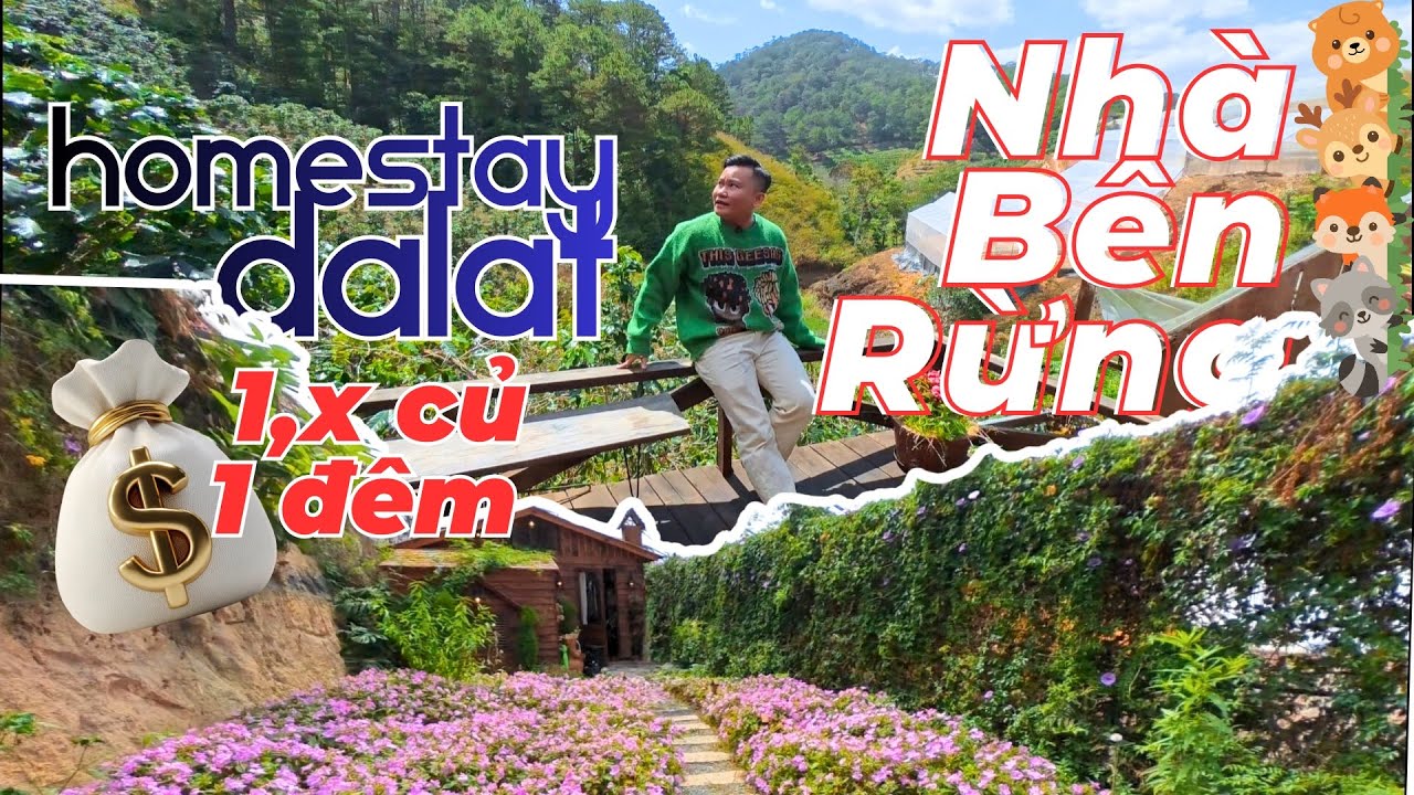 Có Gì Bên Trong Căn Homestay 1.x củ/đêm Tại Nhà Bên Rừng - Đà Lạt