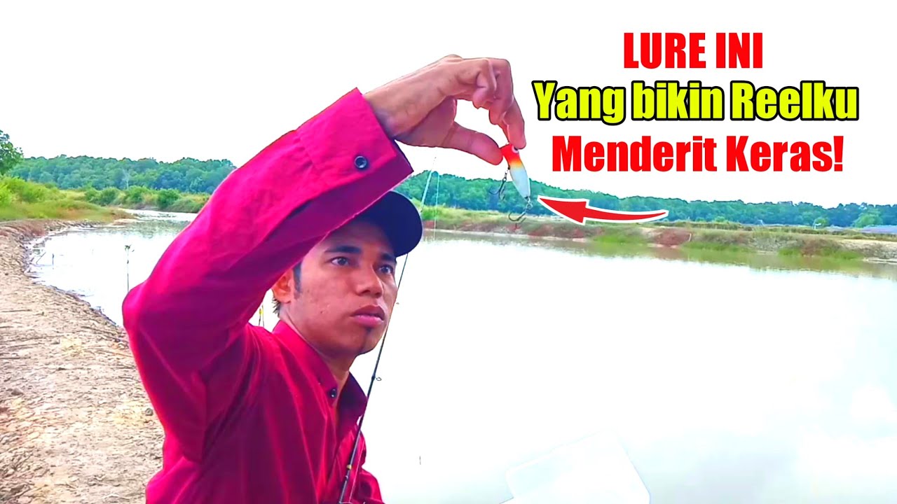 Mancing casting di tambak dihajar predator ganas