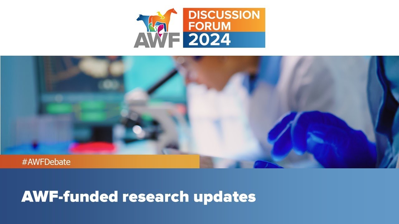 Discussion Forum 2024: AWF-funded research updates