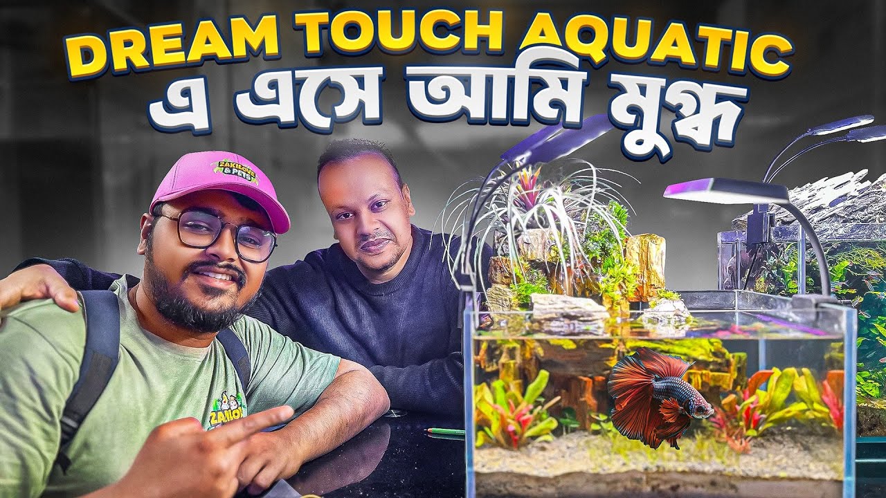 Dream Touch Aquatic এ এসে আমি মুগ্ধ | Huge Betta Collection