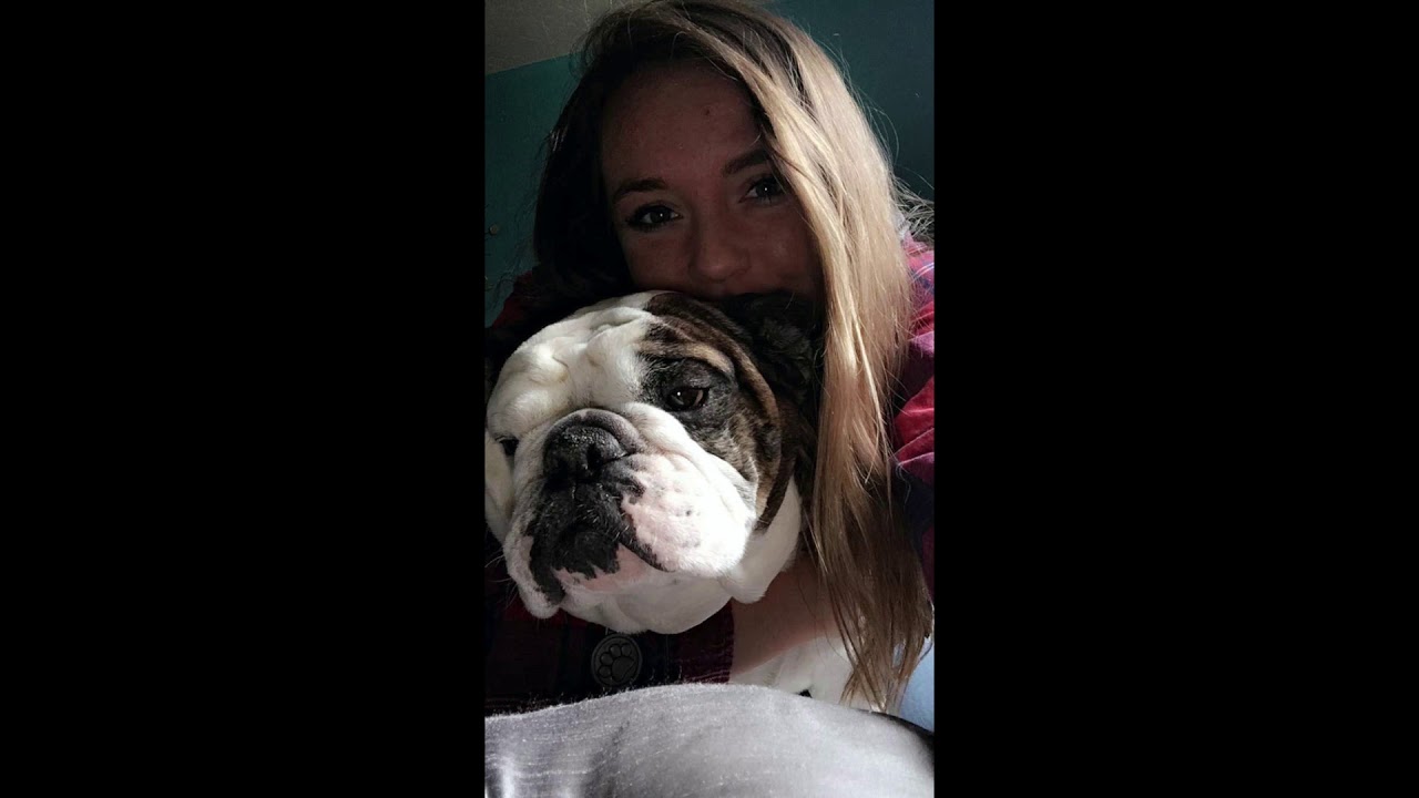 Bruno memorial video