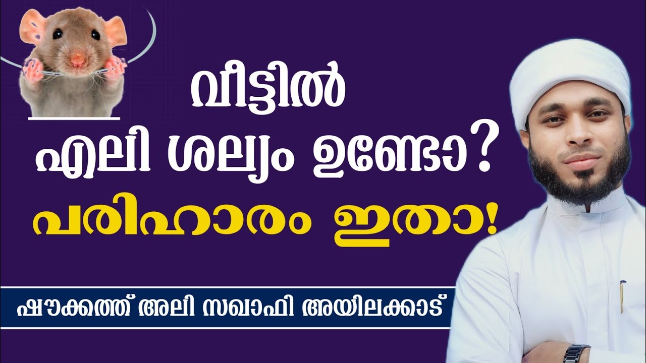 വീട്ടിൽ എലി ശല്യം ഉണ്ടോ?പരിഹാരം ഇതാ!   Is there rat infestation in the house?  Here is the solution!