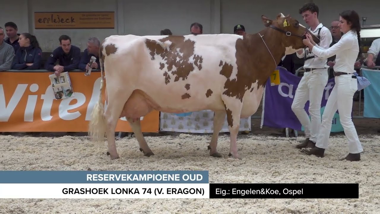 Zuid-Nederlandse wintershow 2026 roodbont