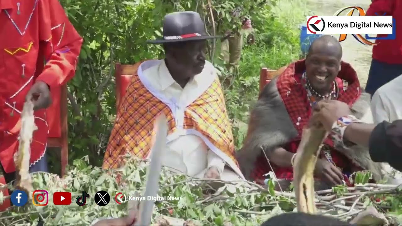 Unbelievable! Watch Raila enjoying Raw Maasai Meat at a Bush Camp owned by Kajiado East MP Maimai