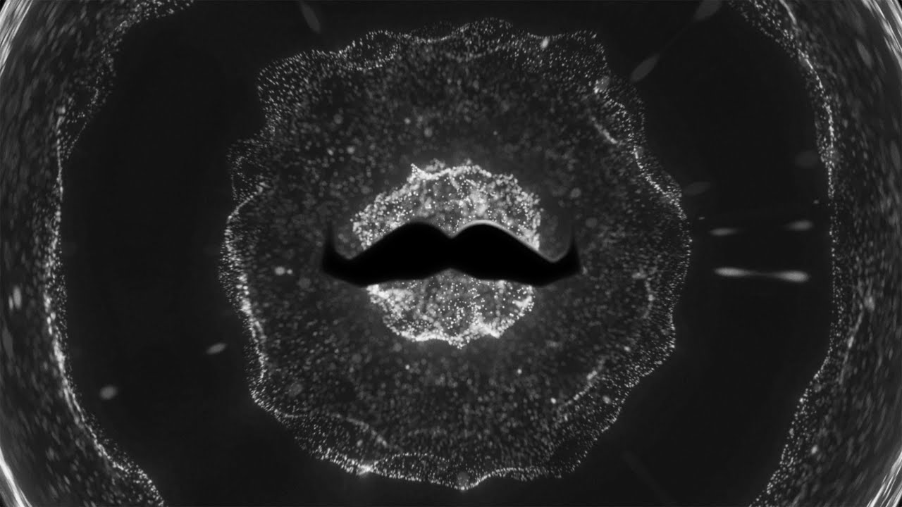 Movember Mancestry
